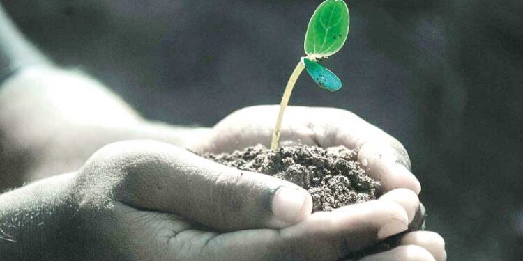 15ª EDIÇÃO DA VIRADA SUSTENTÁVEL: Segurança alimentar e nutricional