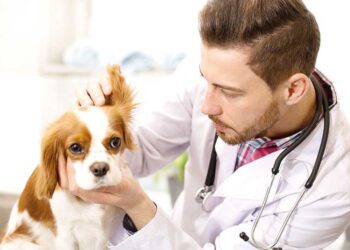 SP amplia acesso a tratamento rápido para infarto e AVC