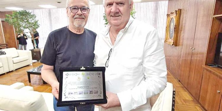 Feiras de artesanato são alternativas para compras e passeios no fim de ano