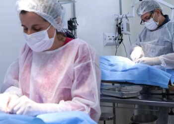 Personalização de tábuas permite mais de 600 combinações no Outback