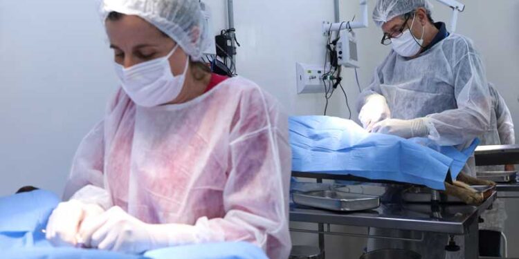 Personalização de tábuas permite mais de 600 combinações no Outback