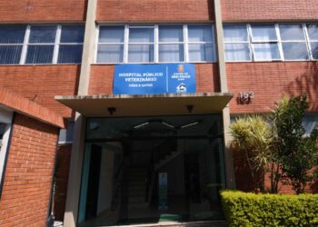 Conheça os hospitais veterinários públicos da capital
