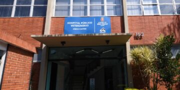 Conheça os hospitais veterinários públicos da capital