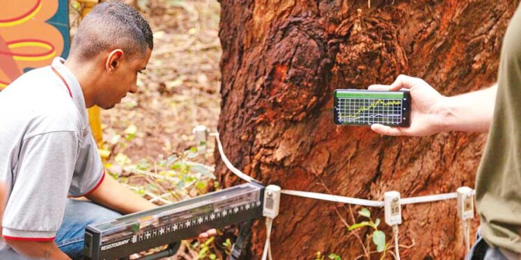 CazéTV fecha parceria com bet para cobertura da Copa do Mundo 2026