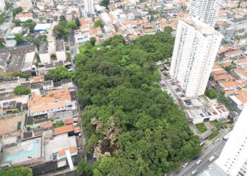 Procon-SP encontra irregularidades em muitas lojas que vendem material escolar