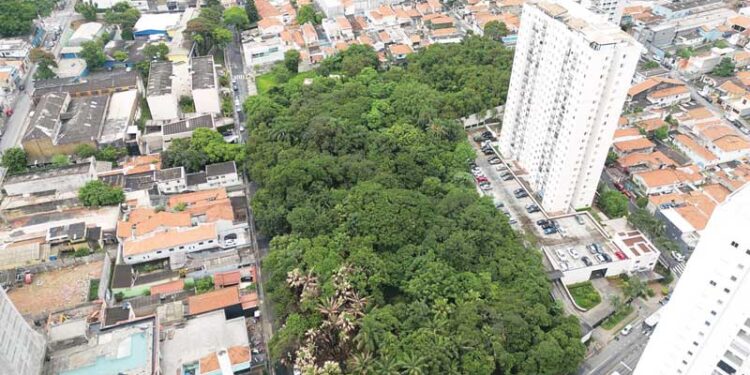 Procon-SP encontra irregularidades em muitas lojas que vendem material escolar