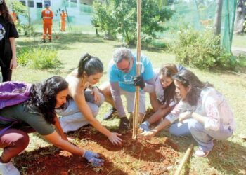 Prefeitura cria o Bosque da Copinha no Parque Ceret