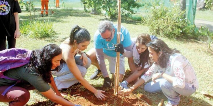 Prefeitura cria o Bosque da Copinha no Parque Ceret