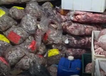 Polícia lacra distribuidora de carnes e prende proprietário em flagrante