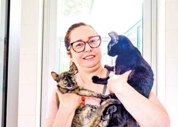 FEBRE AMARELA: Com seis casos confirmados, Saúde SP convoca população para vacinação