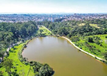 IMPOSTO DE RENDA: Destinação fortalece projetos para a população idosa em SP