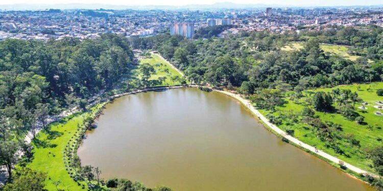 IMPOSTO DE RENDA: Destinação fortalece projetos para a população idosa em SP