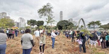 Vacinação contra gripe, sarampo e febre amarela em mais de 400 locais