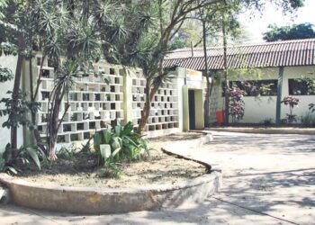 Bibliotecas do bairro: Viradinha leva programação gratuita para criança