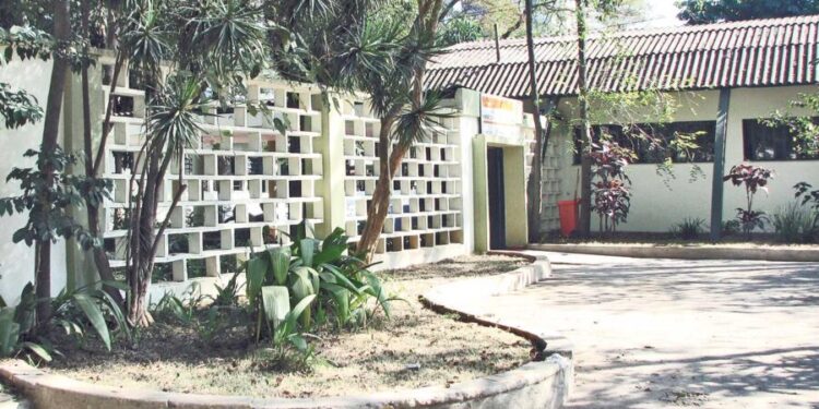 Bibliotecas do bairro: Viradinha leva programação gratuita para criança