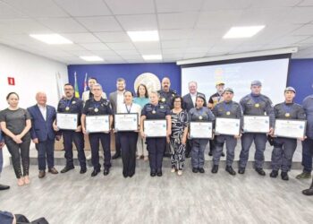 Esculturas de tatus gigantes criam rota artística pelo Eixo Platina, no Tatuapé