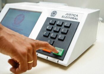 Esculturas de tatus gigantes criam rota artística pelo Eixo Platina, no Tatuapé