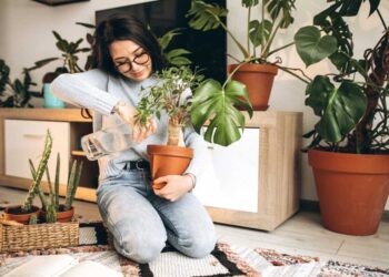 Primavera dentro de casa: ar-condicionado pode prejudicar sua “selva urbana”?