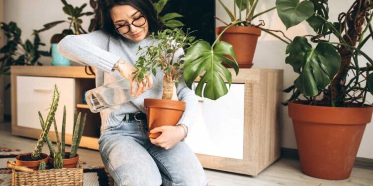 Primavera dentro de casa: ar-condicionado pode prejudicar sua “selva urbana”?