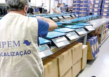 Esculturas de tatus gigantes criam rota artística pelo Eixo Platina, no Tatuapé